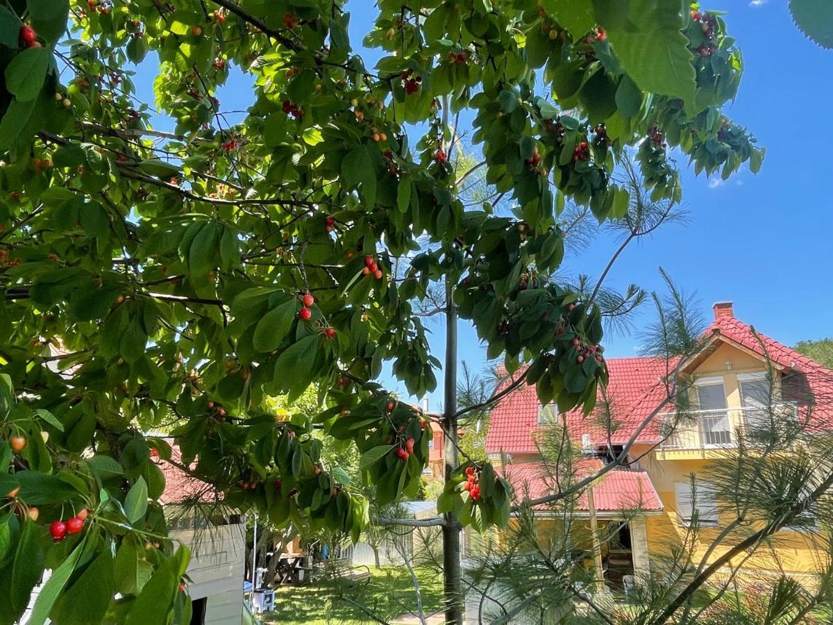 Jasmin Apartment House 沃尼奥尔茨沃什海吉 外观 照片
